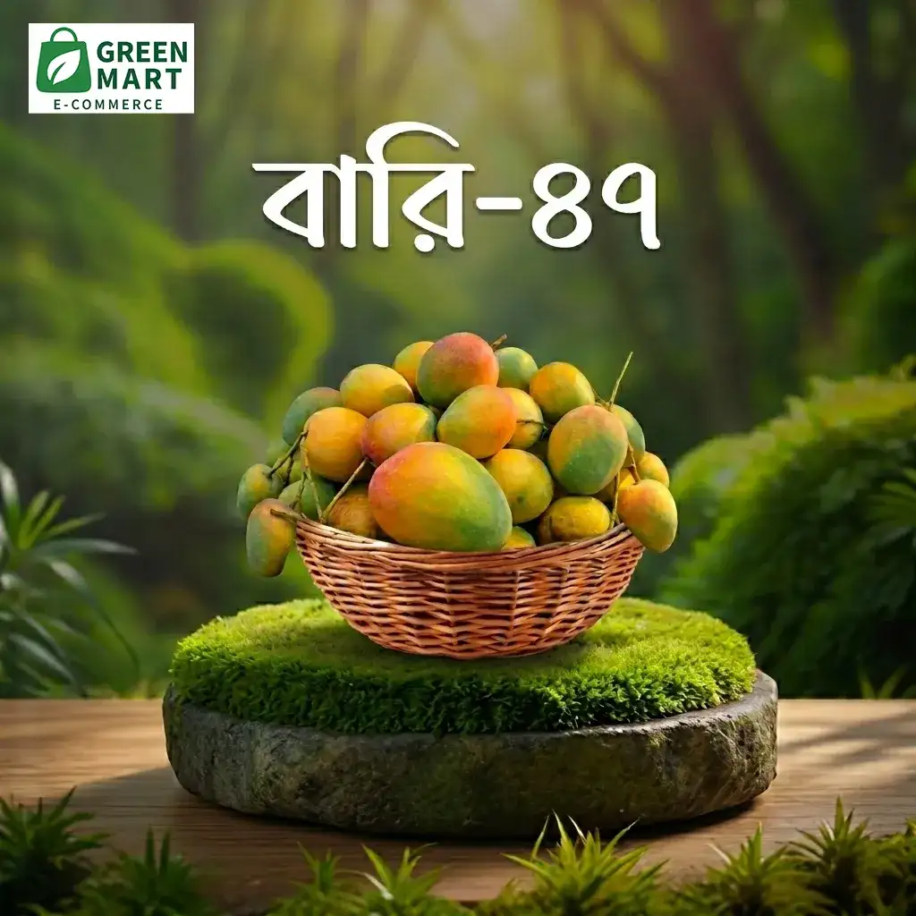 বারি-৪৭  BARI-47 -  5 kg